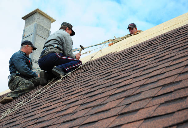 Best Metal Roofing Contractor  in Graniteville, SC